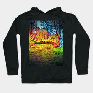 Into the Forest Hoodie